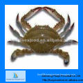 frozen crab blue swimming crab wholesale